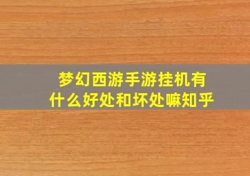 梦幻西游手游挂机有什么好处和坏处嘛知乎