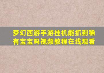 梦幻西游手游挂机能抓到稀有宝宝吗视频教程在线观看