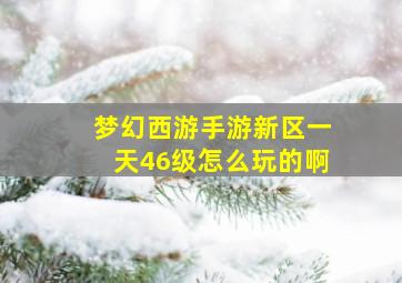 梦幻西游手游新区一天46级怎么玩的啊