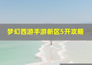 梦幻西游手游新区5开攻略