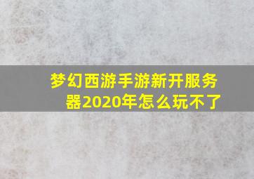 梦幻西游手游新开服务器2020年怎么玩不了