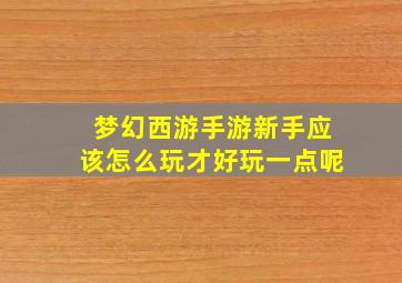 梦幻西游手游新手应该怎么玩才好玩一点呢