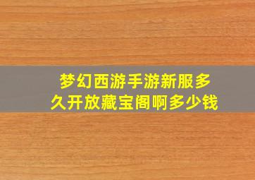 梦幻西游手游新服多久开放藏宝阁啊多少钱