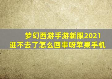 梦幻西游手游新服2021进不去了怎么回事呀苹果手机