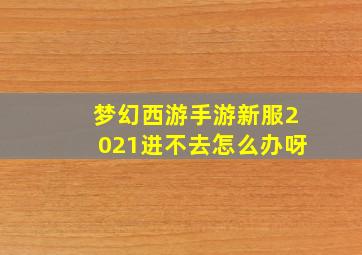 梦幻西游手游新服2021进不去怎么办呀