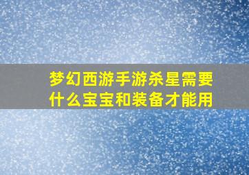 梦幻西游手游杀星需要什么宝宝和装备才能用