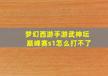 梦幻西游手游武神坛巅峰赛s1怎么打不了