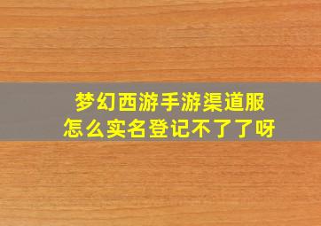 梦幻西游手游渠道服怎么实名登记不了了呀