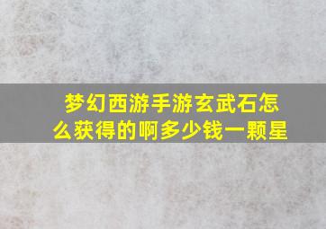 梦幻西游手游玄武石怎么获得的啊多少钱一颗星