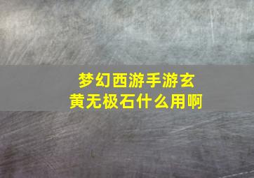 梦幻西游手游玄黄无极石什么用啊