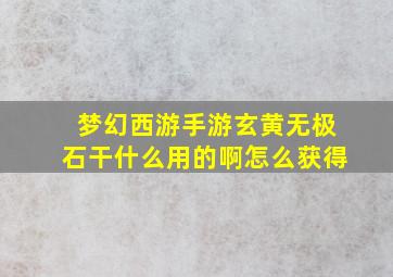 梦幻西游手游玄黄无极石干什么用的啊怎么获得