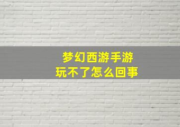 梦幻西游手游玩不了怎么回事