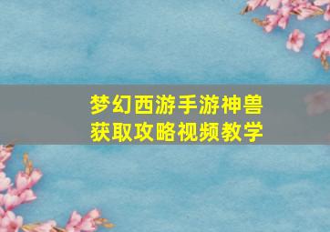 梦幻西游手游神兽获取攻略视频教学