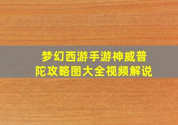 梦幻西游手游神威普陀攻略图大全视频解说