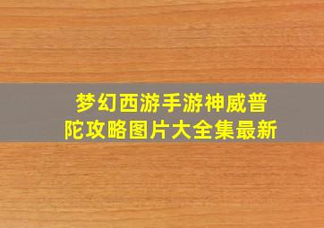 梦幻西游手游神威普陀攻略图片大全集最新