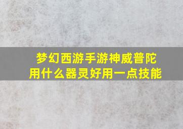 梦幻西游手游神威普陀用什么器灵好用一点技能