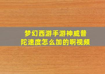 梦幻西游手游神威普陀速度怎么加的啊视频