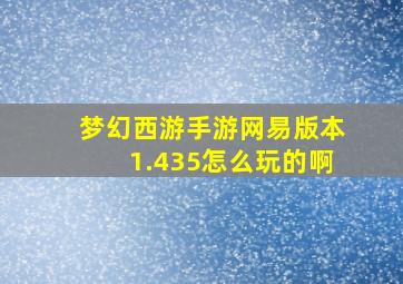 梦幻西游手游网易版本1.435怎么玩的啊