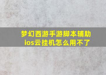 梦幻西游手游脚本辅助ios云挂机怎么用不了