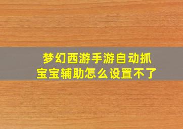 梦幻西游手游自动抓宝宝辅助怎么设置不了