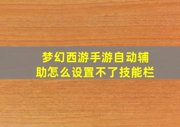 梦幻西游手游自动辅助怎么设置不了技能栏