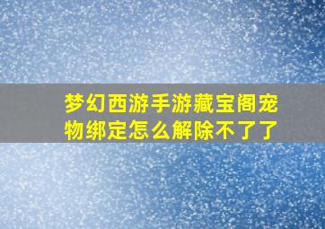 梦幻西游手游藏宝阁宠物绑定怎么解除不了了