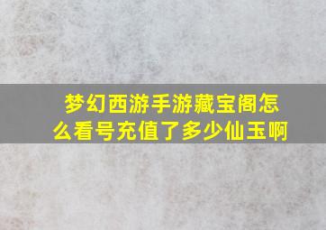 梦幻西游手游藏宝阁怎么看号充值了多少仙玉啊