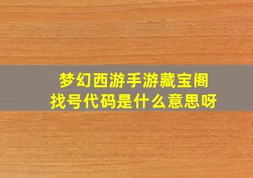 梦幻西游手游藏宝阁找号代码是什么意思呀