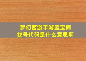 梦幻西游手游藏宝阁找号代码是什么意思啊