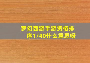 梦幻西游手游资格排序1/40什么意思呀