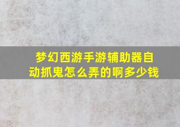 梦幻西游手游辅助器自动抓鬼怎么弄的啊多少钱