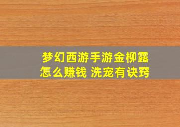 梦幻西游手游金柳露怎么赚钱 洗宠有诀窍