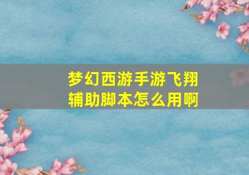 梦幻西游手游飞翔辅助脚本怎么用啊