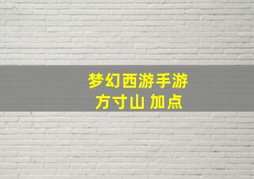 梦幻西游手游 方寸山 加点