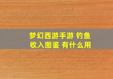 梦幻西游手游 钓鱼 收入图鉴 有什么用