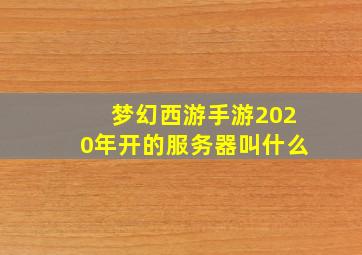 梦幻西游手游2020年开的服务器叫什么