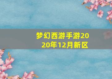 梦幻西游手游2020年12月新区