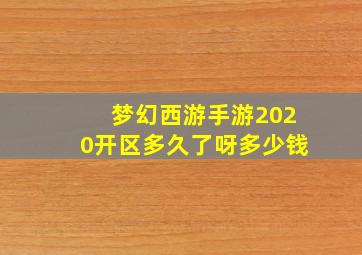 梦幻西游手游2020开区多久了呀多少钱