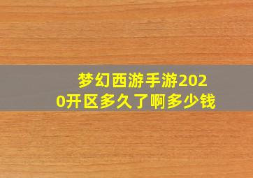 梦幻西游手游2020开区多久了啊多少钱