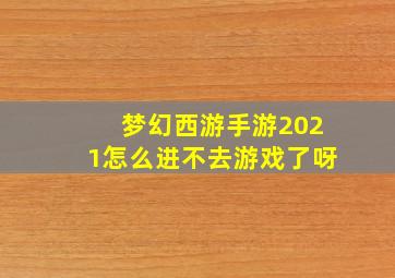 梦幻西游手游2021怎么进不去游戏了呀