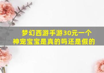 梦幻西游手游30元一个神宠宝宝是真的吗还是假的