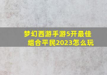 梦幻西游手游5开最佳组合平民2023怎么玩