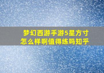 梦幻西游手游5星方寸怎么样啊值得练吗知乎