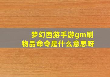 梦幻西游手游gm刷物品命令是什么意思呀