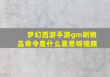 梦幻西游手游gm刷物品命令是什么意思呀视频