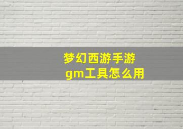 梦幻西游手游gm工具怎么用