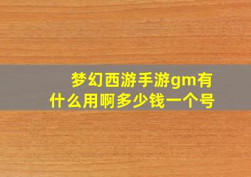 梦幻西游手游gm有什么用啊多少钱一个号