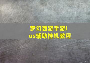 梦幻西游手游ios辅助挂机教程