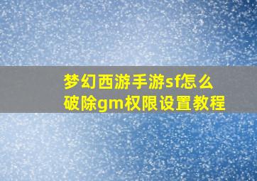 梦幻西游手游sf怎么破除gm权限设置教程