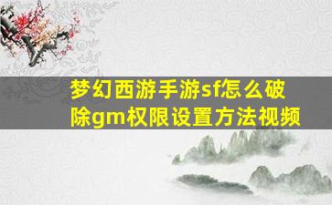 梦幻西游手游sf怎么破除gm权限设置方法视频